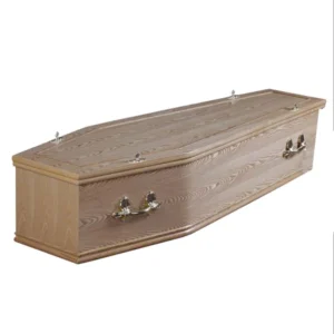 eco friendly cardboard coffin 014